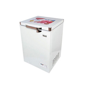 93 Liters Aluminium Interior Chest Freezer